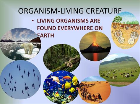 Ppt Living Organisms And Their Surroundings Powerpoint Presentation