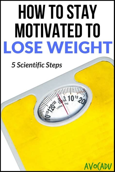 How To Stay Motivated To Lose Weight 5 Scientific Steps Avocadu