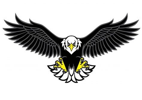 Logo Burung Elang Keren Foto Profil Wa Keren