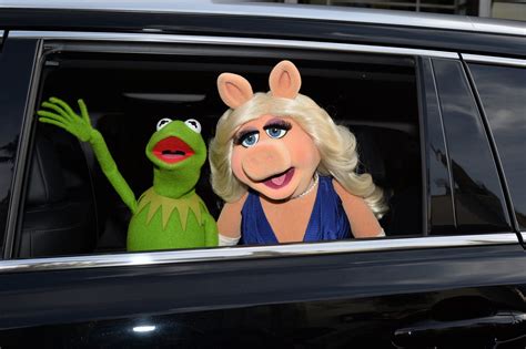 Kermit The Frog Miss Piggy Breakup ‘the Muppets Star Reveals Hes
