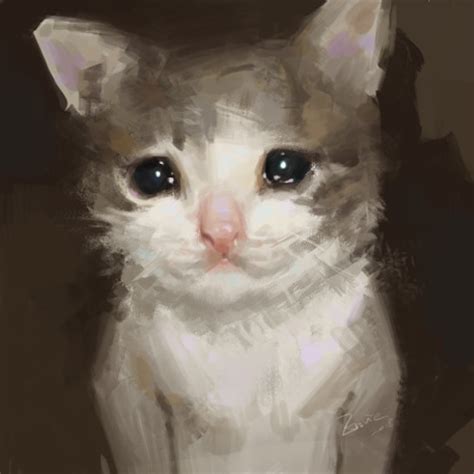 sad cat crying cat cute meme ubicaciondepersonas cdmx gob mx