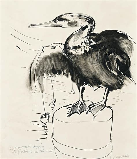 Brett Whiteley Australian Birds Australian Artists Expressionist
