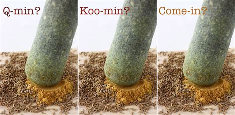 Here are all the possible pronunciations of the word cumin. Spotlight on Spice: How do you say 'cumin'? | Season with ...