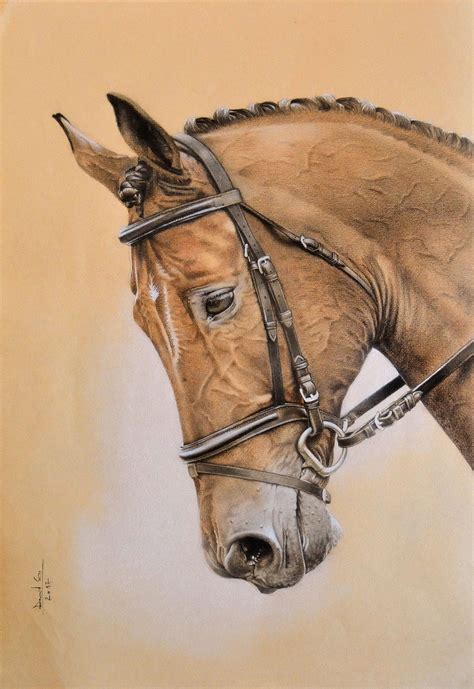 Horse 2012 Colored Graphite On Paper Horse Drawings Color Pencil