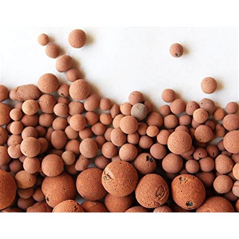 Hydro Clay Pebbles Leca Orchidhydroponic Grow Media 10 Lbs More