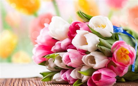 Pink And White Tulip Bouquet Nature Tulips Flowers Hd Wallpaper