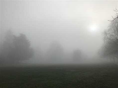 Seattle Park In The Fog Rfoggypics