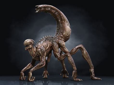 3d Xenomorph Hd Xenomorph Alien Creatures Beast Creature
