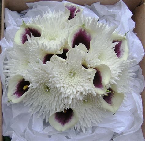 Types Of Flowers For Winter Weddings