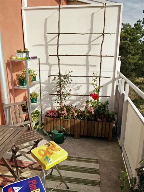 Balcony Trellis Without Harming Walls In 2021 Balcony Trellis