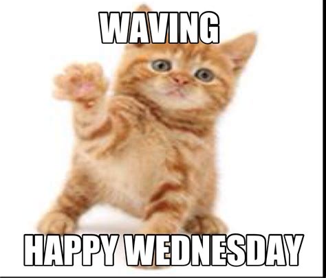 30 Top For Happy Wednesday Work Meme Funny Daniel Qually