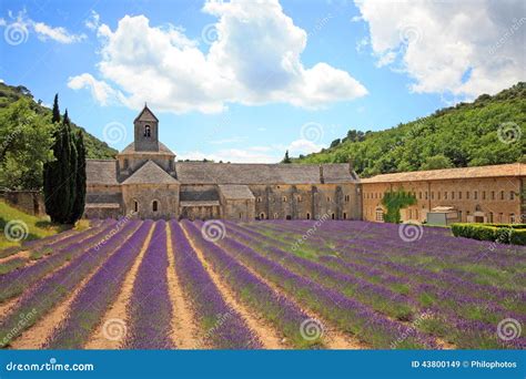 France Abbaye De Senanque Stock Image Image Of Nanque Lavenders