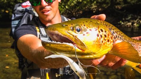 IncreÍble Pesca De Truchas A Spinning Con Vinilo Lured Trip Lured