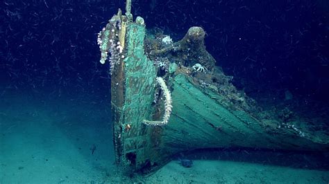 Mysterious 19th Century Shipwreck Discovered By Accident In The Gulf Of