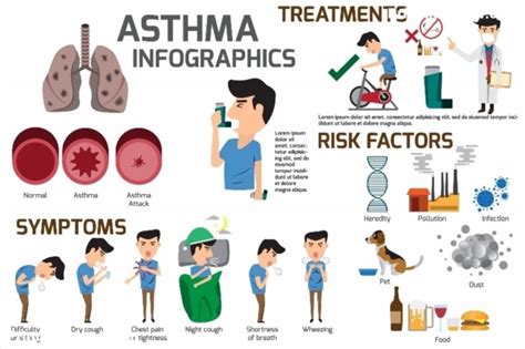 Asthma Infographic Elements Detail About Of Asthma Symptoms And Causes
