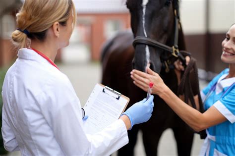 Coggins Test For Horses Detecting Equine Infectious Anemia Mad Barn