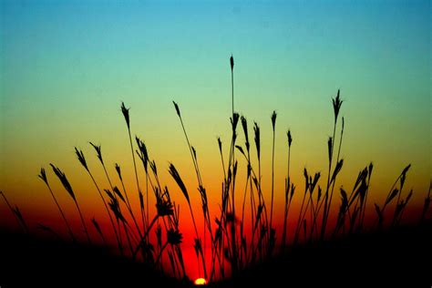Free Images Landscape Nature Horizon Plant Sky Sun Sunrise