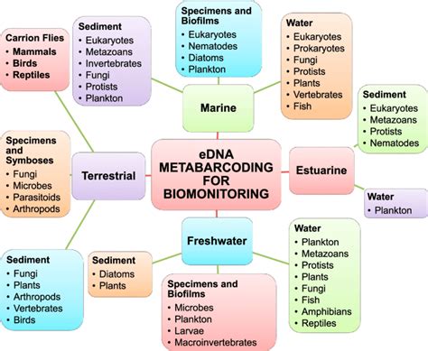 Schematic Diagram Of Global Ecosystem And Biodiversity Monitoring With