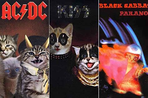 What If Kittens Were On Your Favorite Rock Album Covers