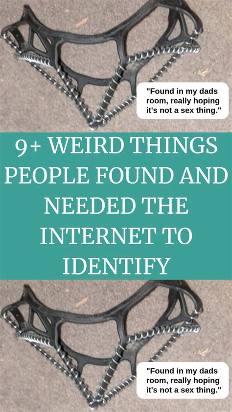 9 Weird Things People Found And Needed The Internet To Identify Cool