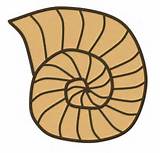 Photos of Fossils Clipart