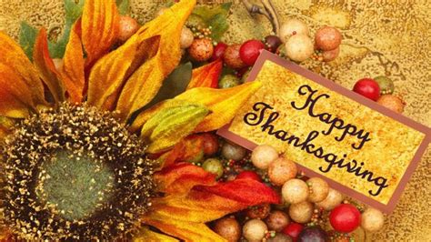 10 Images About Thanksgiving Screensavers On Pinterest Thanksgiving