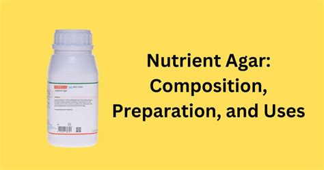 Nutrient Agar Composition Preparation And Uses Microbiologyhub