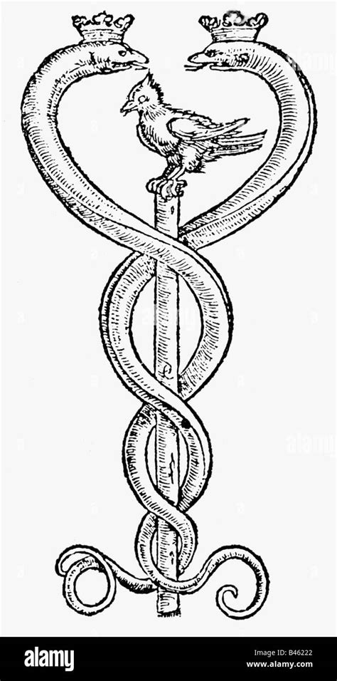 Alchemy Symbols Caduceus Copper Engraving Aftzer Drawing By Hans