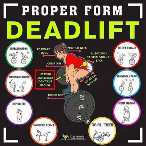How To Master The Deadlift For Full Body Muscle Strength And Gains