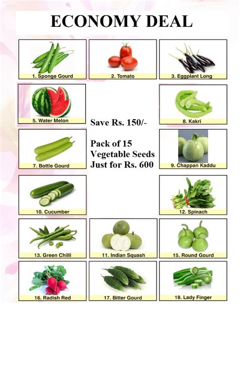 Deal Of 15 Vegetable Seeds Sunny View Seeds Buy Seeds Bulbs