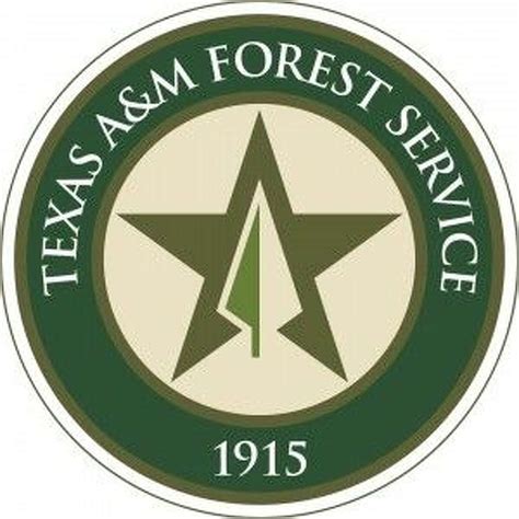 Texas Aandm Forest Service Awards 157 Million In Grant Funds To