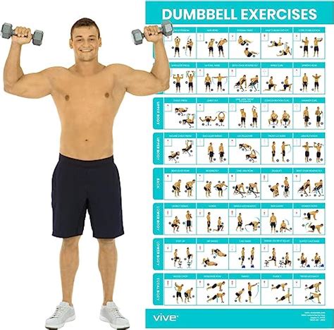 Vive Dumbbell Exercise Poster Home Gym Workout For Upper Lower Full Body Laminated