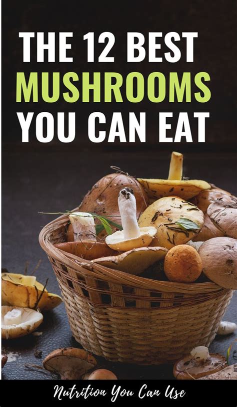 The 12 Healthiest Mushrooms That You Can Eat In 2020 Eating Raw