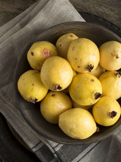 Guava Fruit