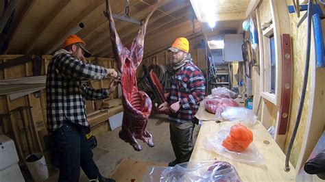 Processing Pa Whitetail Deer Instructional Youtube