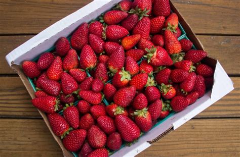 Organic Strawberries 8 Lbs Daily Harvest Express