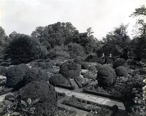 The Dumbarton Oaks Gardens As Archive — Dumbarton Oaks