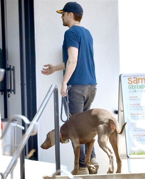 Eva Mendes Ryan Gosling Adopt Sweet Rescue Dog Us Weekly
