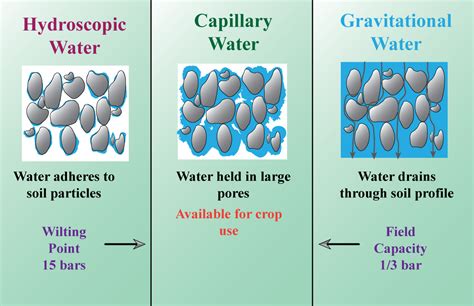 Differentiate Between Hygroscopic Water And Capillary Water