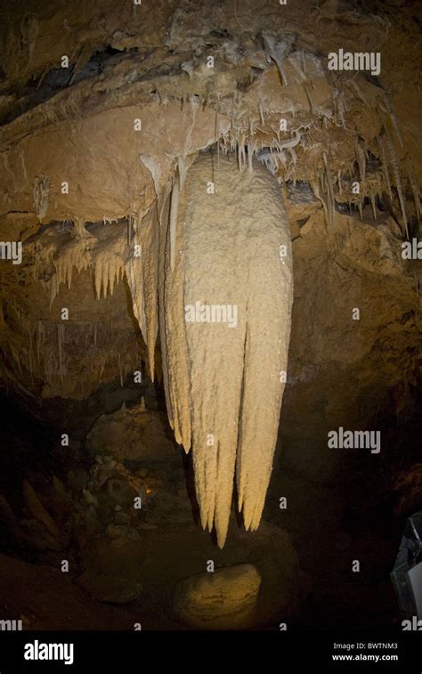 Stalactites Stalagmites Cave Ngilgi Cave Margaret River Australia