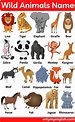 Wild Animals Name List with Pictures in English | Animals name list ...