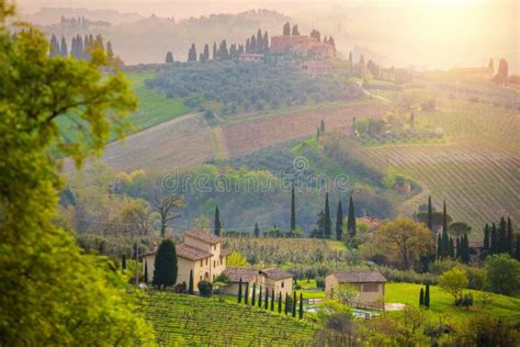 Typical Tuscan Landscape Stock Image Image Of Panorama 137414679