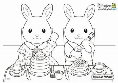 Sylvanian Families Coloring Colorear Conejos Dibujos Pancakes