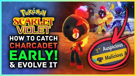 Pokemon Scarlet And Violet How To Catch Charcadet Early Evolve Into