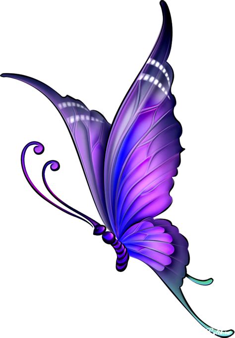 Purple Butterfly Png Clipart Picture Bd7