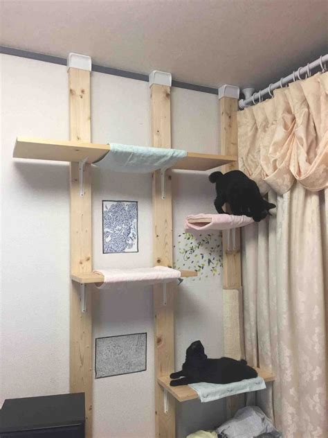 Image Result For Cat Room Ideas Casita Para Gatos Cajas De Arena