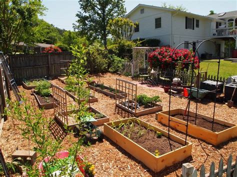 Simple Vegetable Garden Ideas For Your Living Amaza Design