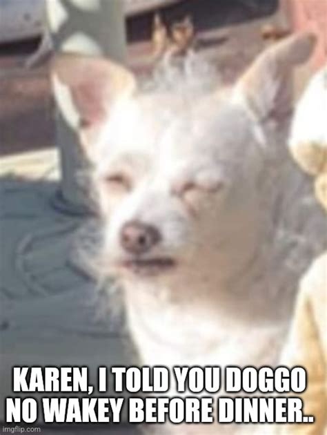Old Man Doggo Frustrated With Karen Imgflip
