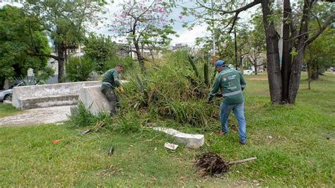 El Municipio De Resistencia Realiza Trabajos De Desmalezado En Avenida