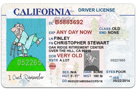 Blank California Drivers License Template Nyckop
